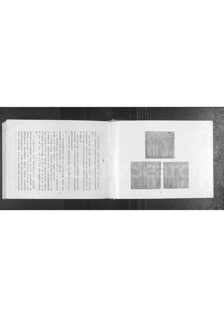 河南张氏族谱-张氏族谱.pdf电子版预览图5