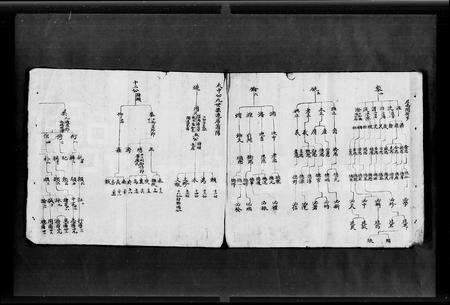 广东蔡氏族谱-蔡氏族谱.pdf电子版预览图5