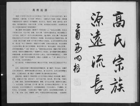 河南高氏族谱-高氏族谱.pdf电子版预览图5