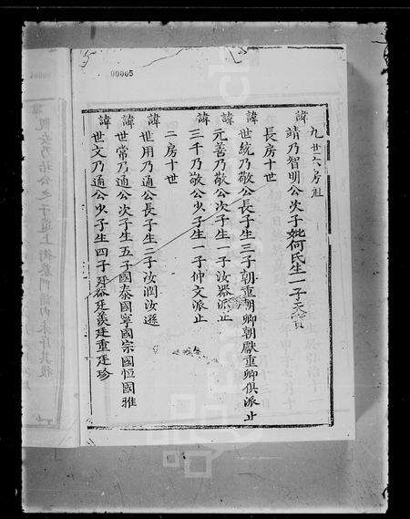 广东黄氏族谱-东粤宝安南头黄氏族谱 [上,下卷].pdf电子版预览图5