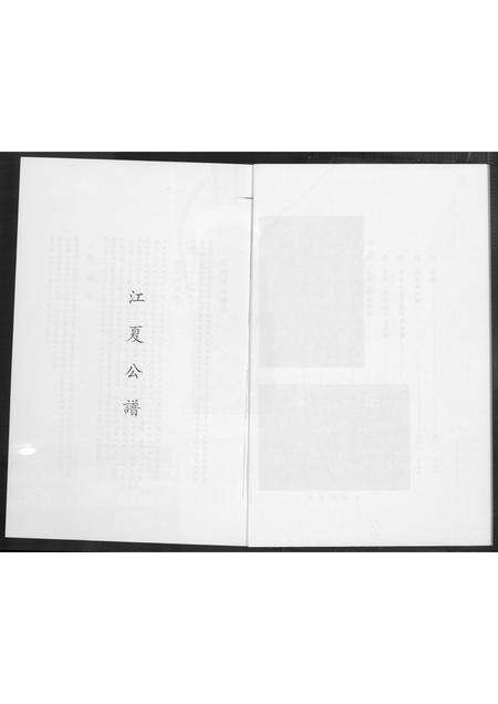 福建黄氏族谱-金水黄氏族谱.pdf电子版预览图5