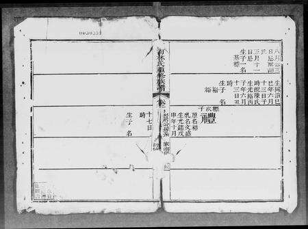 广东林氏族谱-西河林氏重修族谱 [14卷,及卷首].pdf电子版预览图5