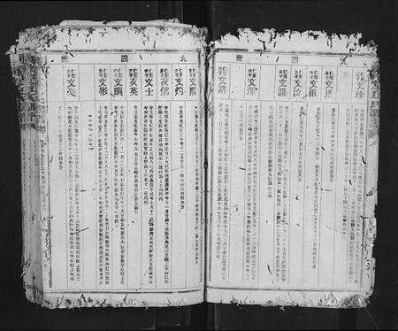 广东丘氏族谱-河南堂丘氏联谱.pdf电子版预览图5