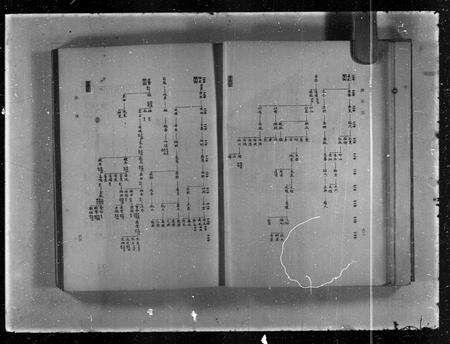 广东谭氏族谱-谭氏志.pdf电子版预览图5