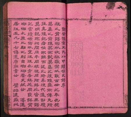 河南王氏族谱-王氏宗谱[10卷含首卷, 末1卷].pdf电子版预览图5