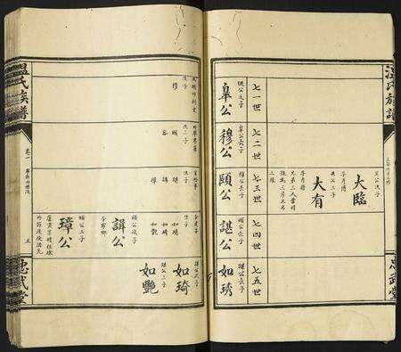 河南温氏族谱-温氏族谱.pdf电子版预览图5