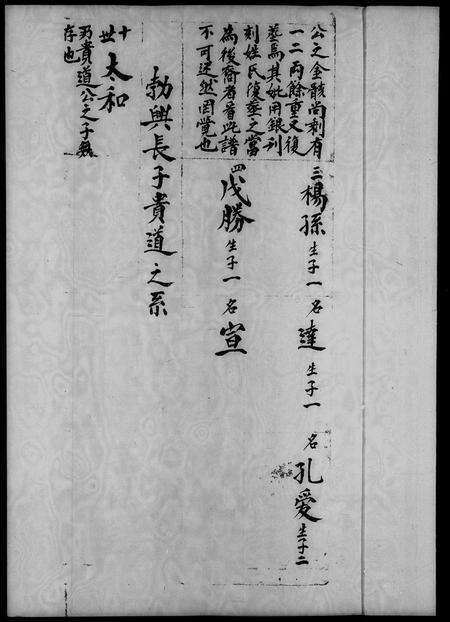 广东文氏族谱-文氏族部 [下卷].pdf电子版预览图5