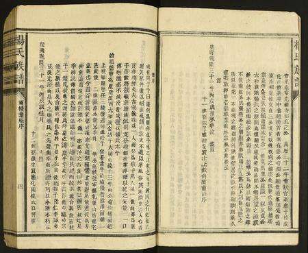 广东杨氏族谱-杨氏宗谱.pdf电子版预览图5