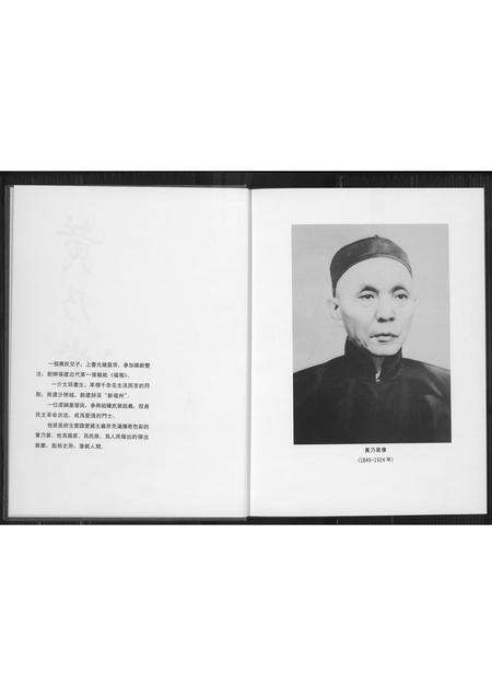 福建黄氏族谱-黄乃裳传.pdf电子版预览图5