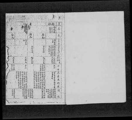 广东虞氏族谱-连山县吉田石鼓里虞氏族谱.pdf电子版预览图5