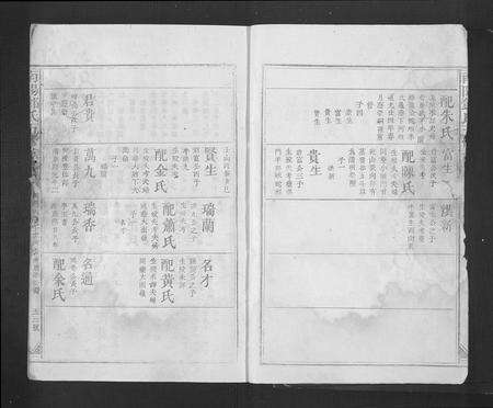 江西、广东邓氏族谱-南阳邓氏五修族谱[总卷数不详].pdf电子版预览图5