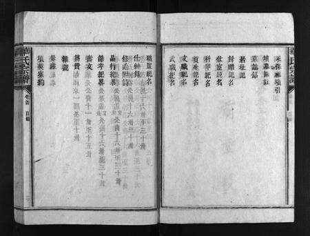 广东华氏族谱-武陵华氏宗谱 [11卷,及卷首].pdf电子版预览图5