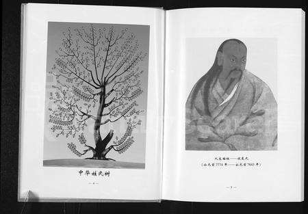 河南李氏族谱-沈丘县李楼村李氏族志.pdf电子版预览图5