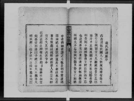 广东凌氏族谱-狮石乡凌氏三修族谱 [不分卷].pdf电子版预览图5