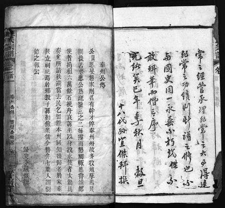 河南、安徽王氏族谱-王氏宗谱 [43卷,首1卷].pdf电子版预览图5