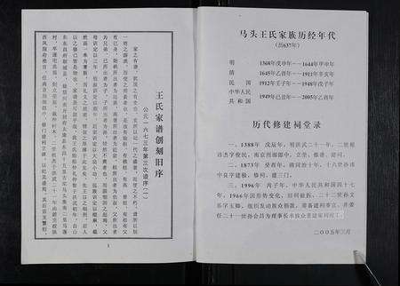 河南王氏族谱-太康马头王氏族谱 [不标卷数].pdf电子版预览图5