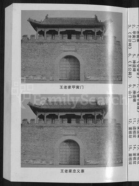 河南王氏族谱-王氏族谱 _ 太康支谱 [不分卷].pdf电子版预览图5