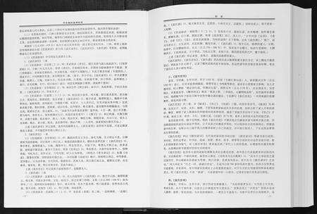 河南袁氏族谱-中华袁氏通用世系[1册].pdf电子版预览图5