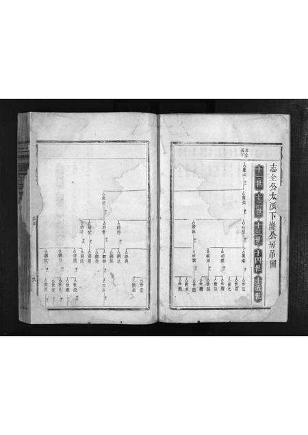 江西、福建江氏族谱-江氏重修族谱 [不分卷].pdf电子版预览图5