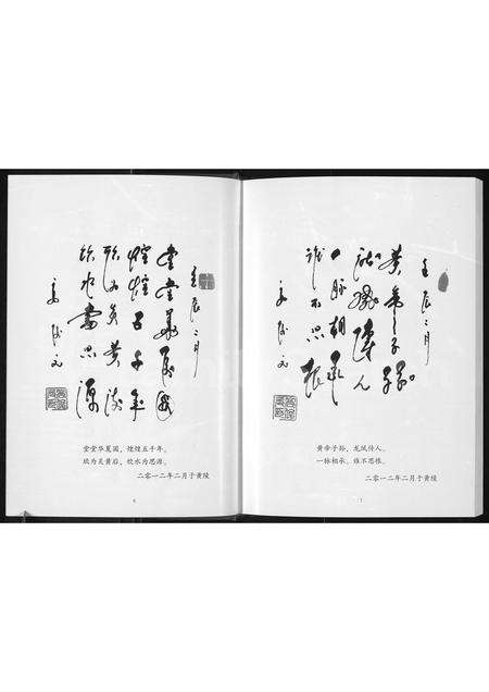 河南王氏族谱-马圈王谱 _ 荥阳高山王氏支系.pdf电子版预览图5