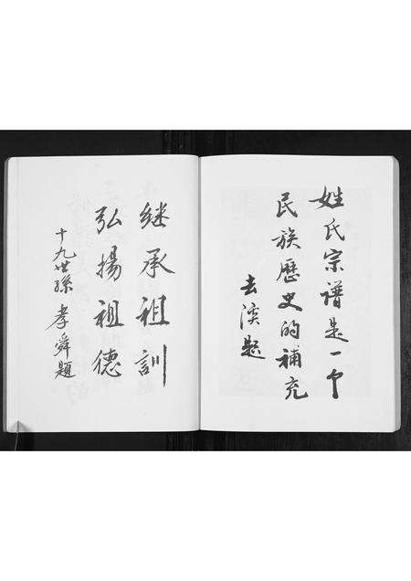 安徽丁氏族谱-丁氏宗谱[不分卷].pdf电子版预览图5