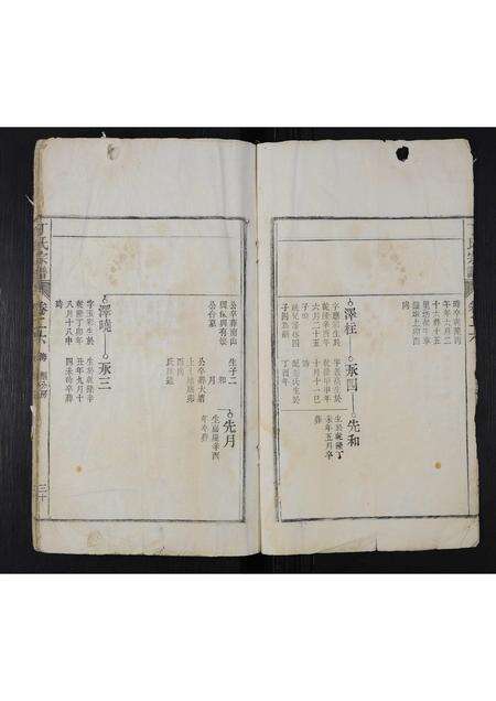 安徽丁氏族谱-丁氏宗谱 [残卷].pdf电子版预览图5