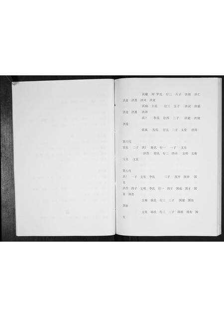 安徽金氏族谱-金氏家谱[不分卷].pdf电子版预览图5