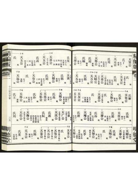 安徽康氏族谱-康氏族谱.pdf电子版预览图5