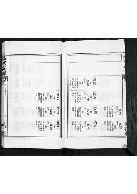 安徽秦氏族谱-秦氏宗谱.pdf电子版预览图5