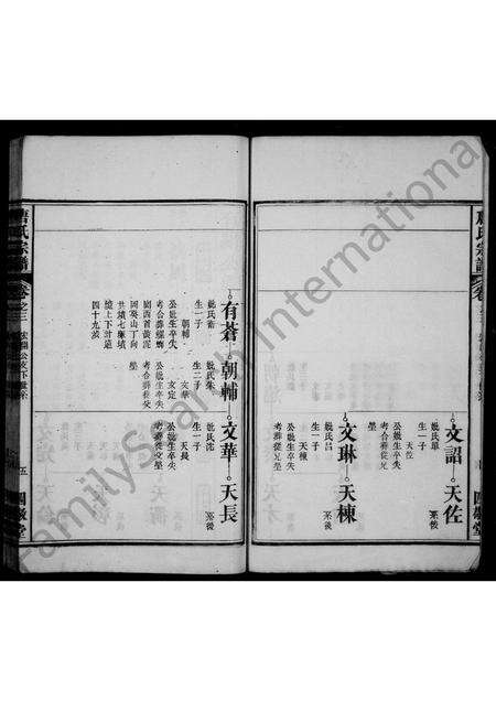 安徽唐氏族谱-唐氏族谱 [6卷].pdf电子版预览图5