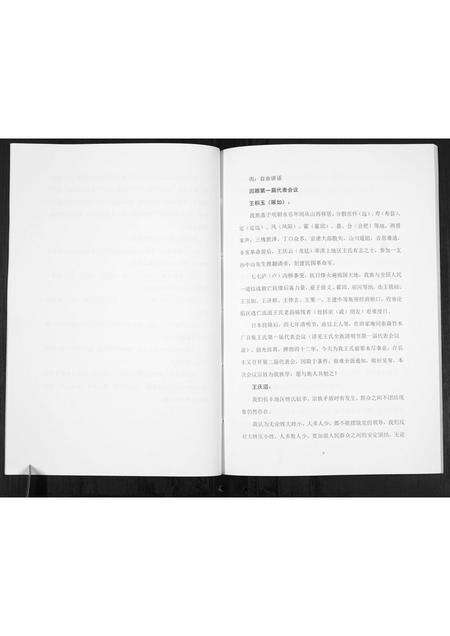 安徽王氏族谱-王氏宗族[不分卷].pdf电子版预览图5