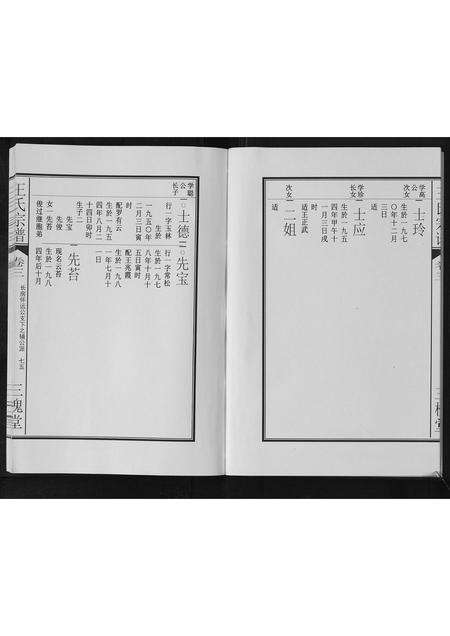 安徽王氏族谱-王氏宗谱[3卷].pdf电子版预览图5