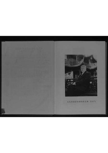 安徽王氏族谱-王氏家谱[不分卷].pdf电子版预览图5