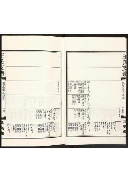 安徽王氏族谱-王氏支谱.pdf电子版预览图5