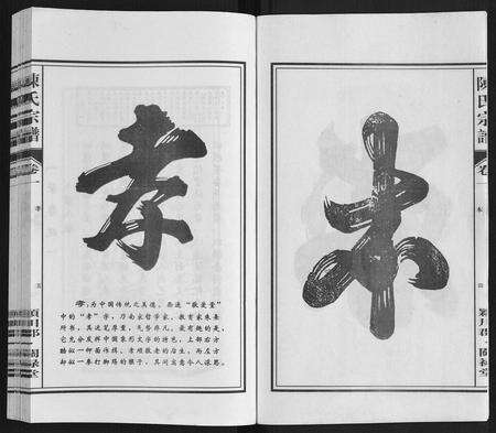 安徽陈氏族谱-陈氏宗谱.pdf电子版预览图5