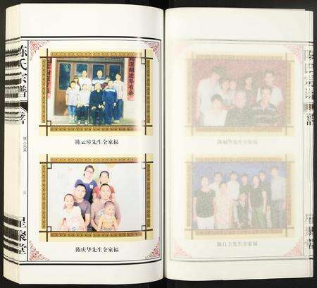 安徽陈氏族谱-陈氏宗谱.pdf电子版预览图5