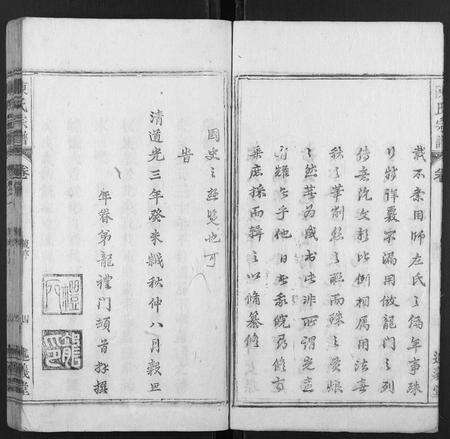 安徽陈氏族谱-陈氏宗谱[32卷,首1卷,末2卷].pdf电子版预览图5