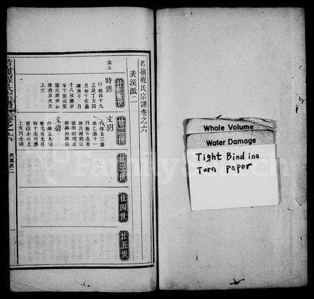 安徽程氏族谱-若岭程氏宗谱 [残卷].pdf电子版预览图5