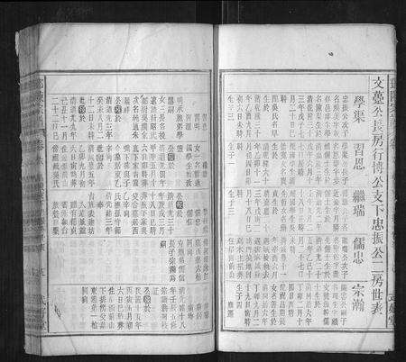 安徽邓氏陈氏族谱-邓陈宗谱.pdf电子版预览图5