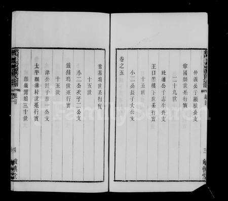 安徽洪氏族谱-歙西王充东源洪氏宗谱 [13卷].pdf电子版预览图5