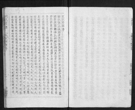 安徽胡氏族谱-安定郡潜阳胡氏支谱.pdf电子版预览图5