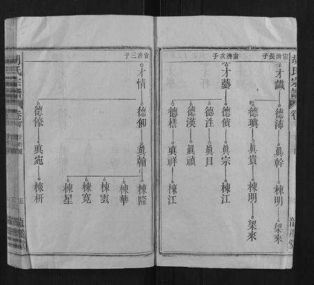 安徽胡氏族谱-胡氏宗谱.pdf电子版预览图5