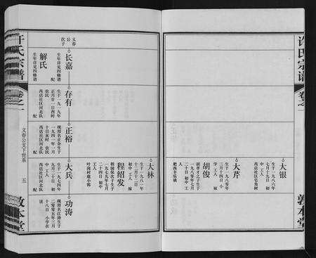 安徽许氏族谱-许氏宗谱[7卷].pdf电子版预览图5