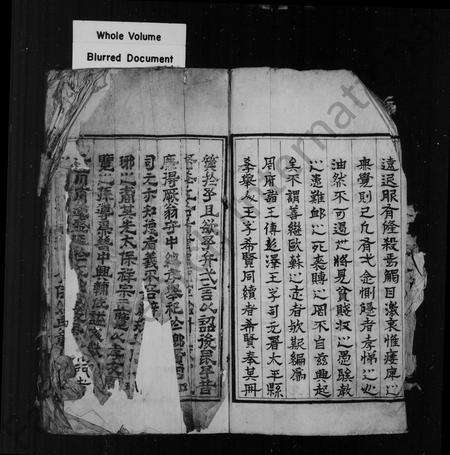 安徽王氏族谱-新安琅琊王氏统宗世谱 [10卷,首1卷].pdf电子版预览图5