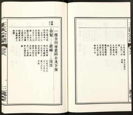 安徽王氏族谱-王氏宗谱.pdf电子版预览图5