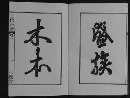 安徽王氏族谱-王氏宗谱[16卷].pdf电子版预览图5