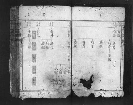 福建蒋氏族谱-蒋氏宗谱.pdf电子版预览图5