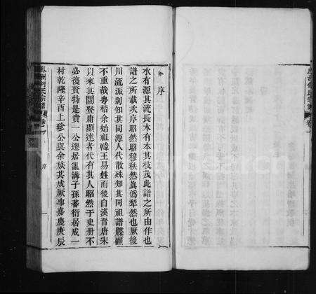 安徽何氏族谱-何氏家乘 [12卷].pdf电子版预览图5