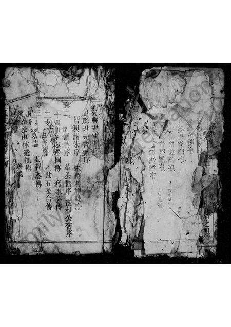 安徽金氏族谱-京兆金氏支谱.pdf电子版预览图5