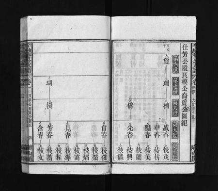 安徽李氏族谱-太湖李氏融庵公族谱 [9卷,首4卷].pdf电子版预览图5